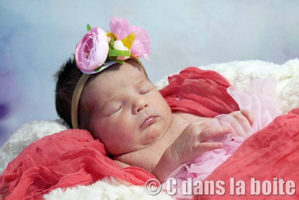 portrait de bébé studio photo brioude